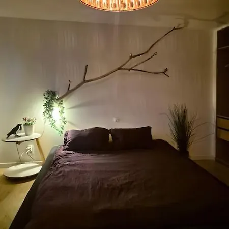 Appartamento Met Groot Terras Gand