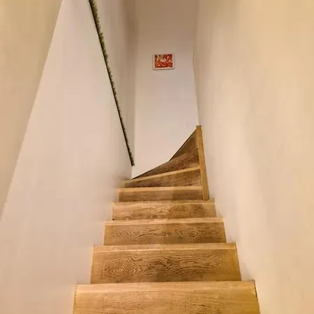 Met Groot Terras Apartment